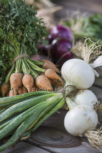 Freshly picked vegetables — Stock Photo