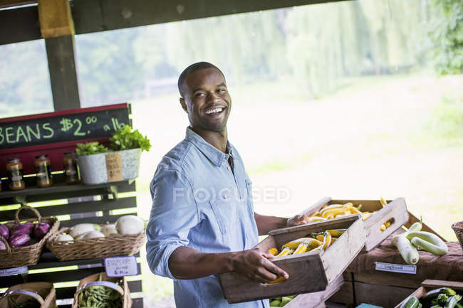 Homme portant des boîtes de légumes . — Photo de stock