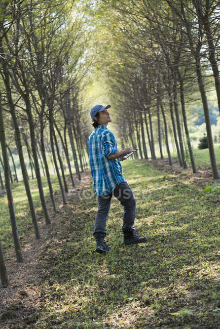 Homme marchant sur une avenue d'arbres — Photo de stock