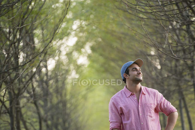 Man standing in an avenue of trees — Stock Photo