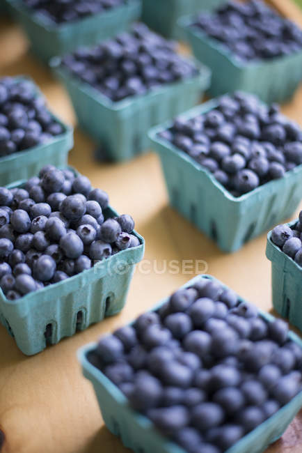 Organic blueberries in punnets. — Stock Photo