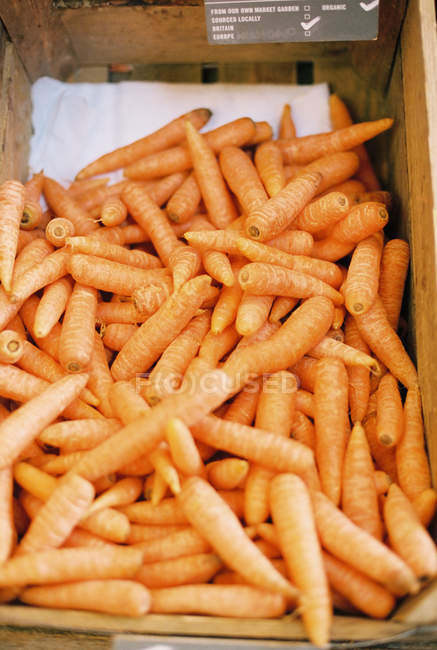 Karton mit geernteten gewaschenen Karotten. — Stockfoto