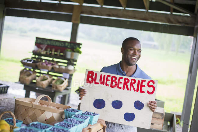Person carrying a blueberries sign. — Stock Photo