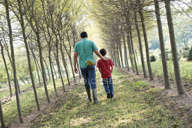 Uomo e ragazzo che camminano su viale di alberi . — Foto stock