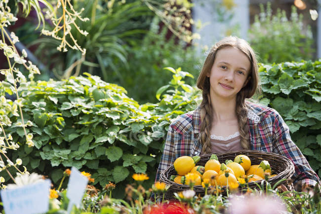 Girl with basket of fresh squash vegetables. — Stock Photo