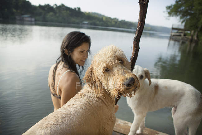 Mulher nadando com dois cães — Fotografia de Stock
