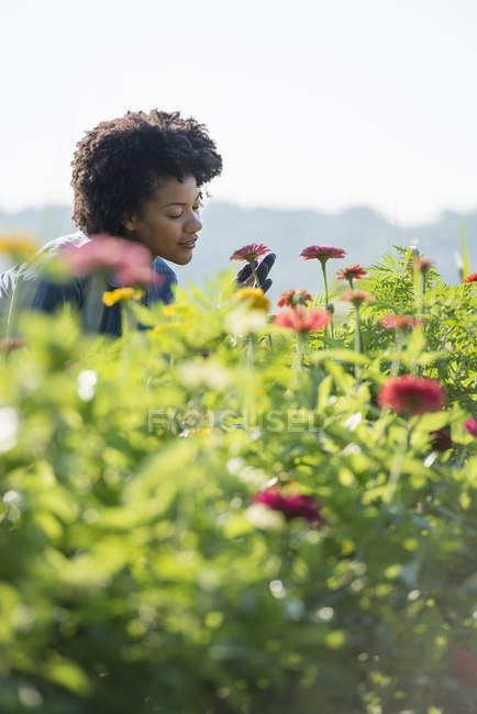 Woman standing among flowers — Stock Photo
