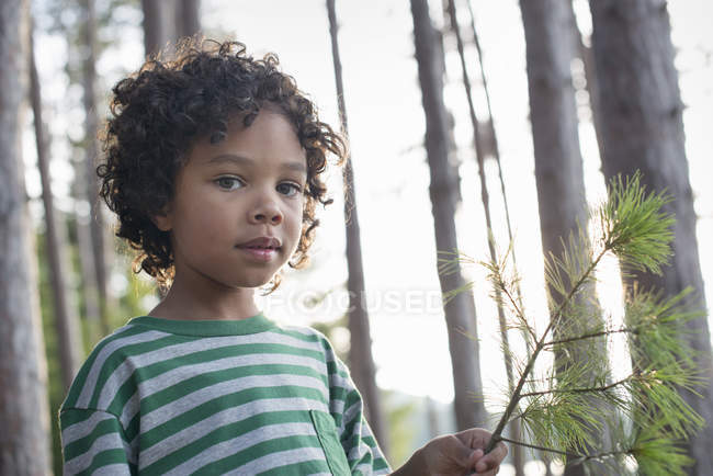 Niño sosteniendo rama con agujas de pino - foto de stock