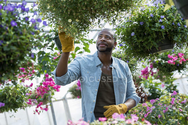 Uomo che lavora in un vivaio di piante — Foto stock
