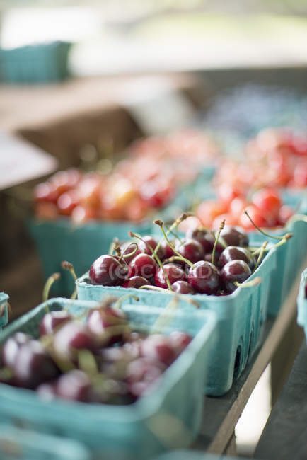 Punnets of fresh organic cherries. — Stock Photo