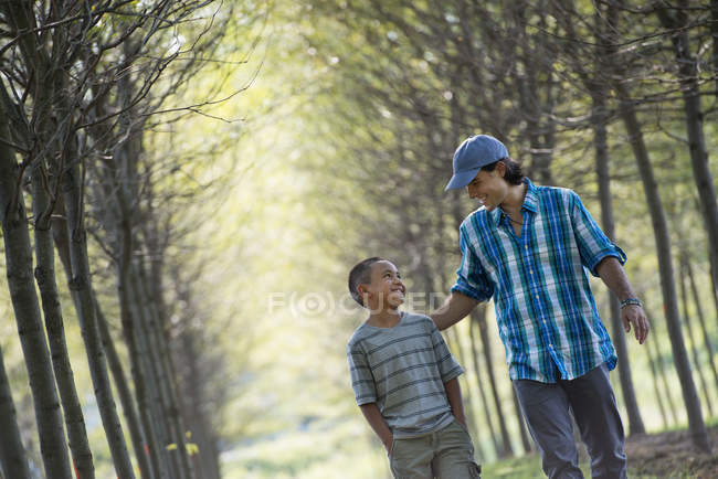 Hombre y niño caminando por avenida de árboles . - foto de stock
