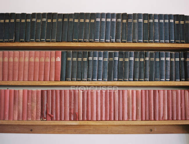 Libros antiguos en un estante - foto de stock