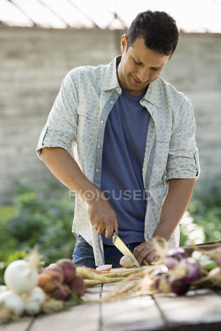 Hombre picando verduras recién recogidas - foto de stock