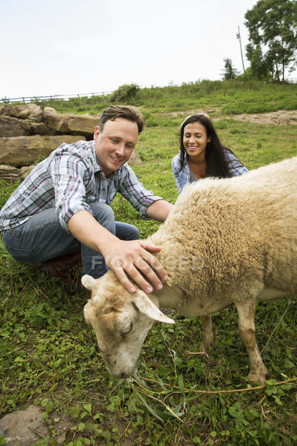 Menschen mit einem Schaf auf der Weide. — Stockfoto