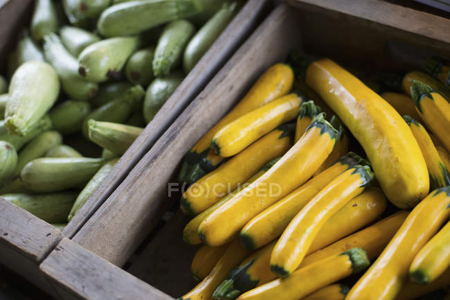 Schachteln mit gelben und grünen Zucchini. — Stockfoto