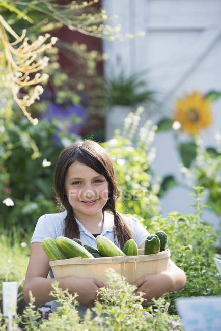 Girl holding a basket of fresh cucumbers. — Stock Photo