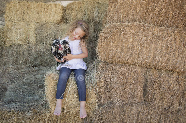 Девочка с курицей — стоковое фото