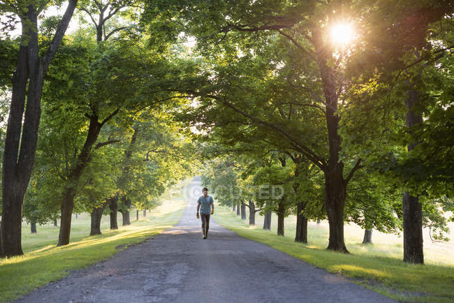 Uomo che cammina lungo un viale alberato — Foto stock