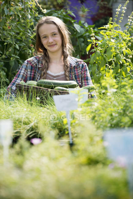 Girl holding a basket of fresh marrows. — Stock Photo