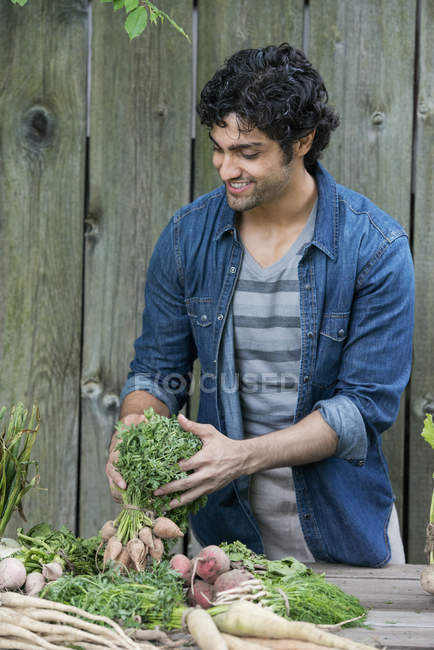 Homem que classifica legumes recém-colhidos — Fotografia de Stock