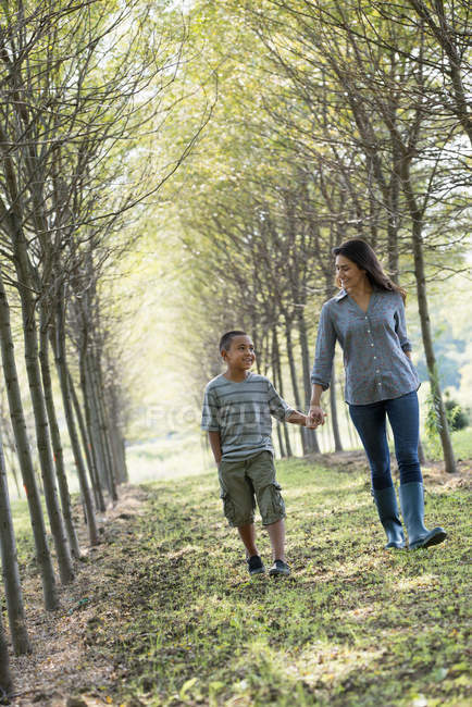 Donna con figlio che cammina nei boschi . — Foto stock
