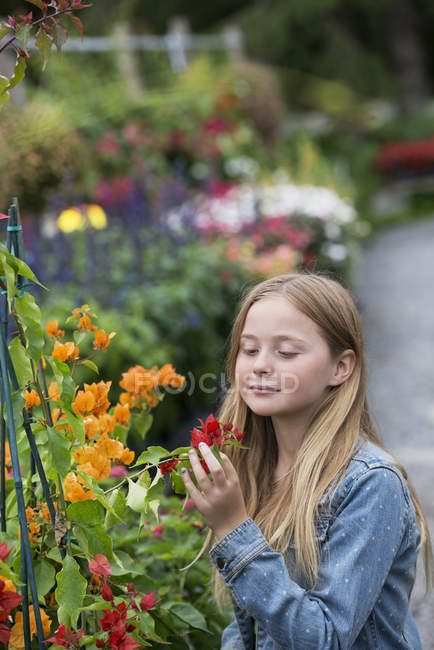 Дівчина дивиться на квіти . — стокове фото