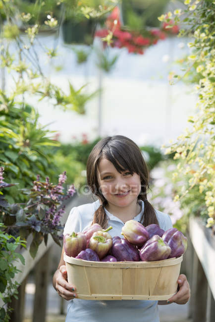 Girl holding a basket of bell peppers. — Stock Photo