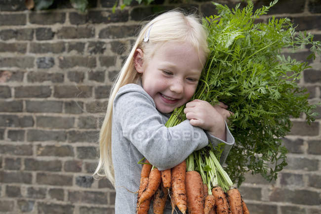 Menina segurando um grande monte de cenouras . — Fotografia de Stock