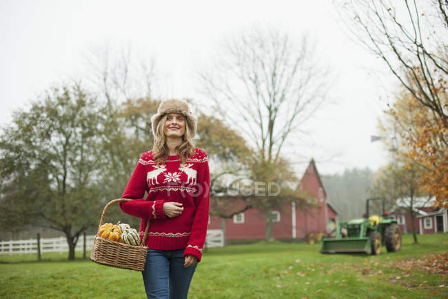 Женщина держит корзину овощей — стоковое фото