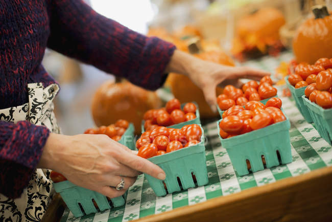 Mujer arreglando una fila de punnets de tomates
. - foto de stock