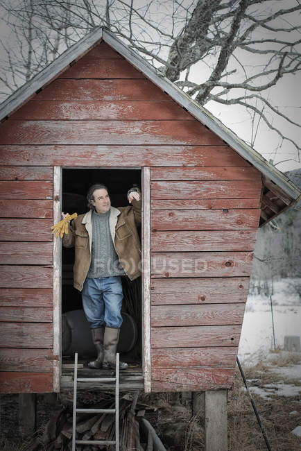 Man standing in doorway of henhouse. — Stock Photo