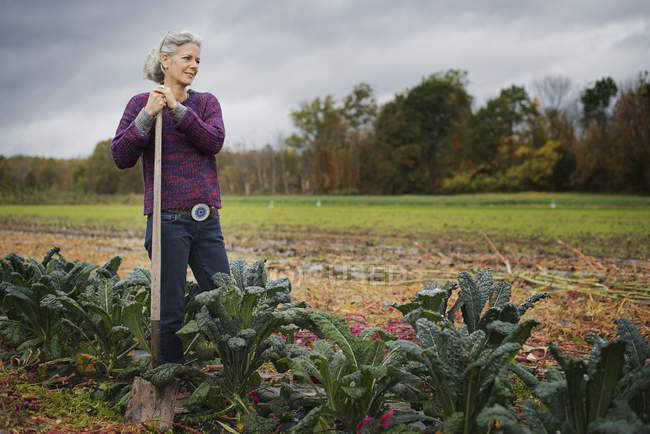 Organic female Farmer at Work. — Stock Photo