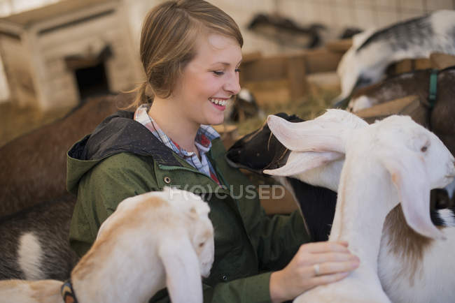 Woman in a stable with goats. — Stock Photo