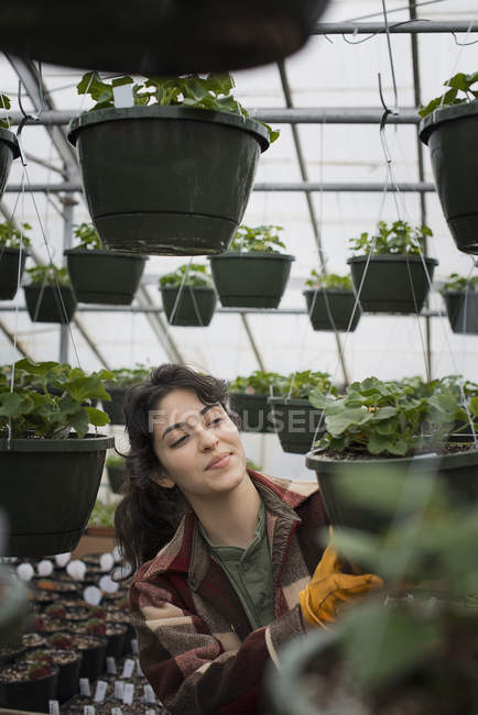 Woman checking plants and seedlings. — Stock Photo