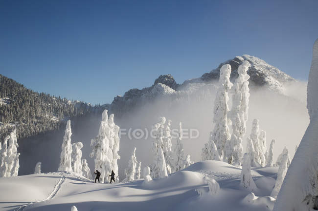 Caminhantes no meio do inverno na neve — Fotografia de Stock