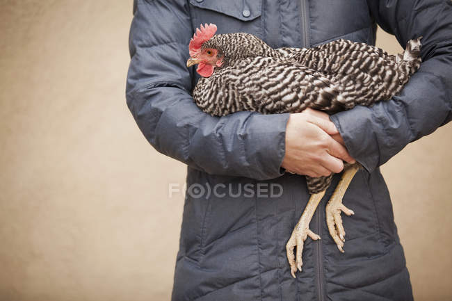 Woman holding chicken — Stock Photo