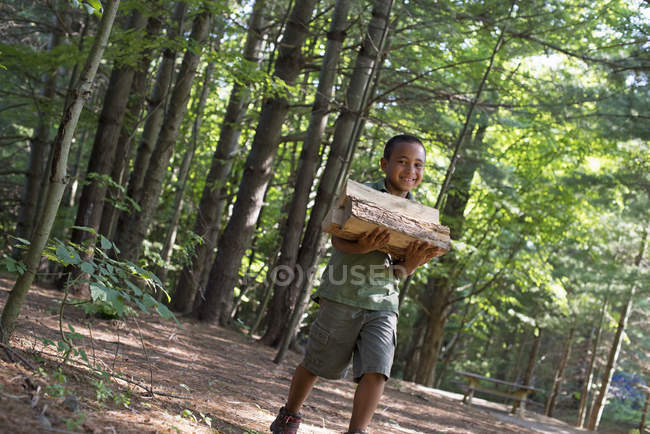 Chico llevando leña a través del bosque . - foto de stock