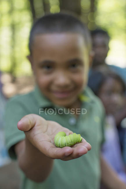 Menino segurando uma lagarta verde gorda . — Fotografia de Stock