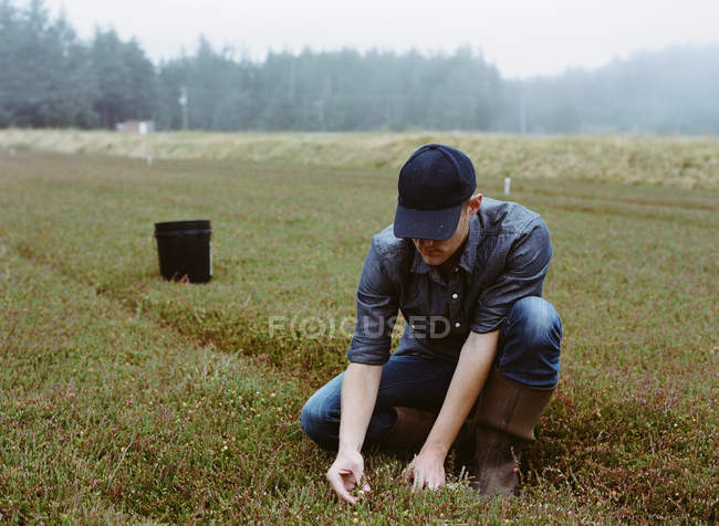 Junger Mann arbeitet an Land — Stockfoto