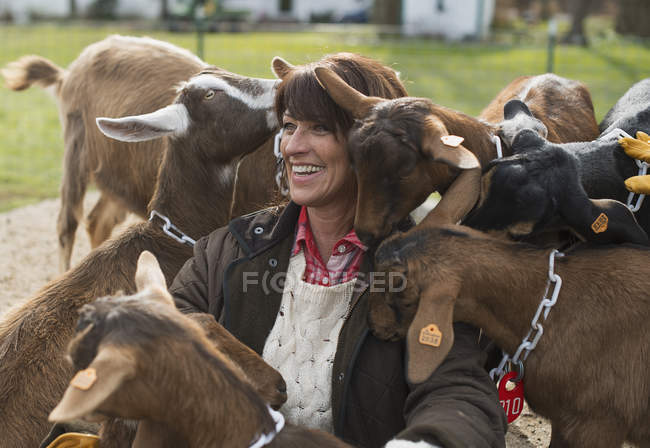 Farmer tending to the animals. — Stock Photo