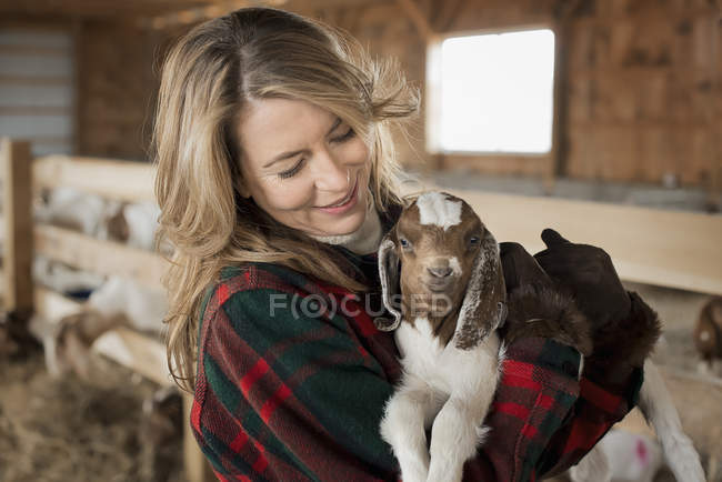 Woman cradling young goat — Stock Photo