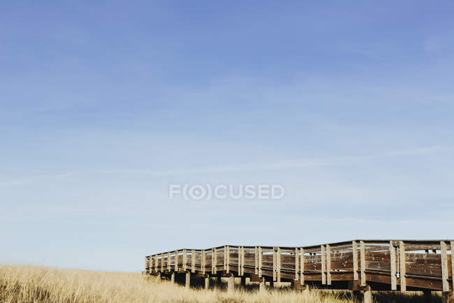 Promenade menant à travers prairie herbeuse — Photo de stock