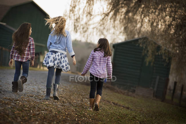 Chicas caminando a lo largo de un camino - foto de stock