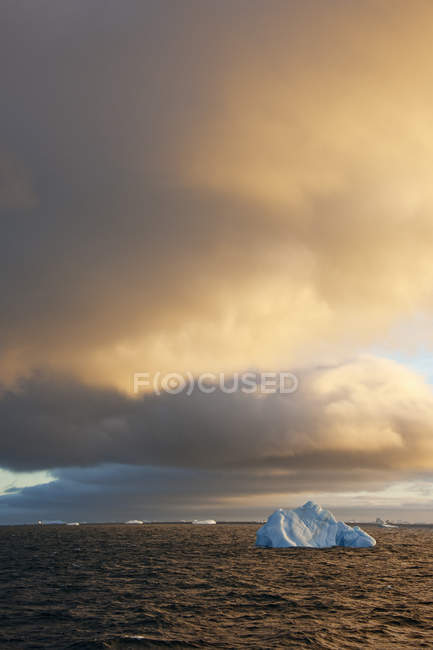 Icebergs ao nascer do sol no mar de Weddell — Fotografia de Stock