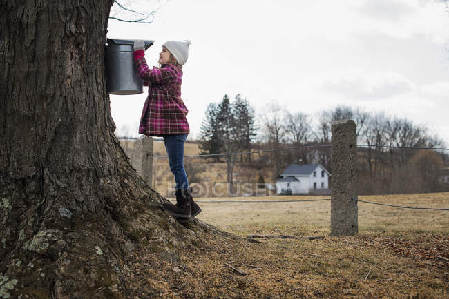 Girl tapping sap from tree. — Stock Photo