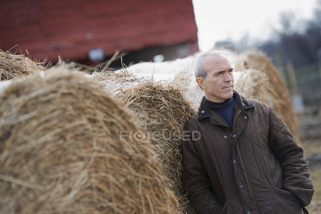 Organic farm in winter — Stock Photo