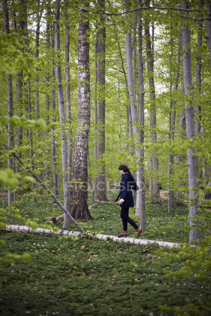 Femme marchant dans les bois — Photo de stock