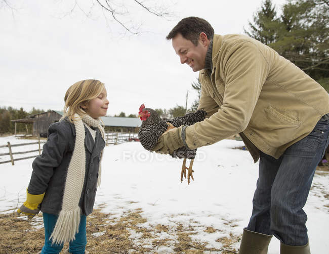Homem segurando uma galinha em suas mãos — Fotografia de Stock