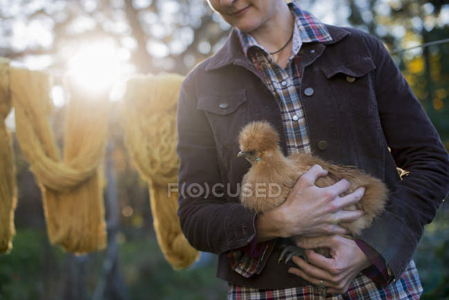 Woman holding a brown fluffy chicken. — Stock Photo