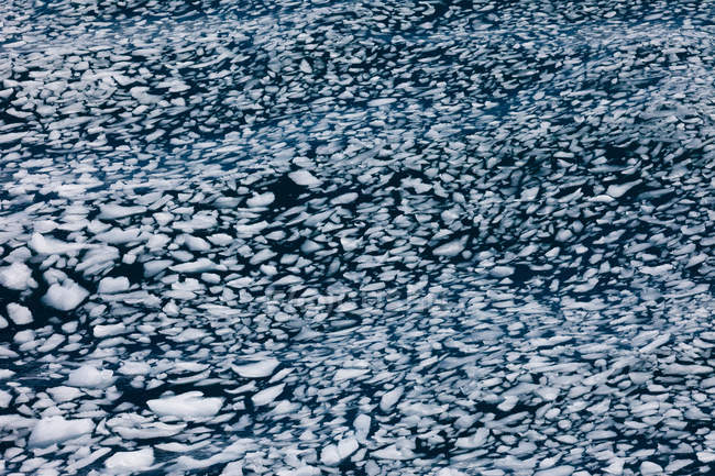 Morceaux de glace à flot — Photo de stock